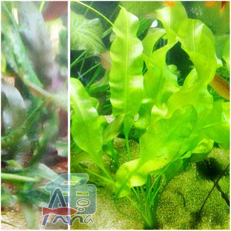 彰化-宏偉水族館 彰化水族館,魚缸設備