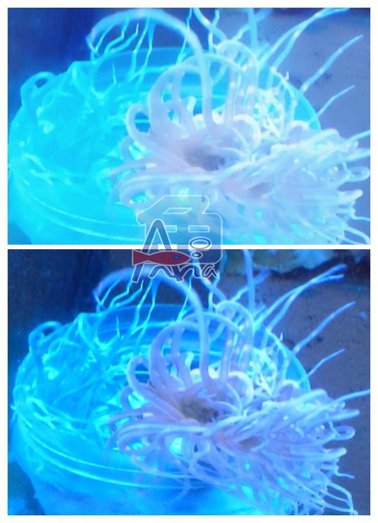 宏偉水族館(干手佛) 彰化水族館,魚缸設備