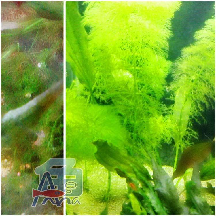 彰化-宏偉水族館 彰化水族館,魚缸設備