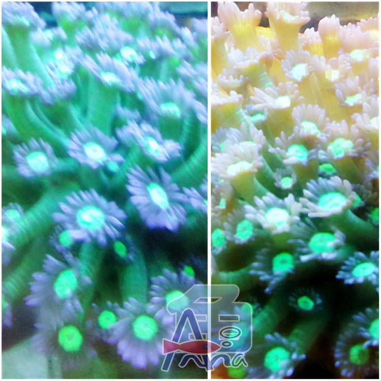 彰化-宏偉水族館 彰化水族館,魚缸設備