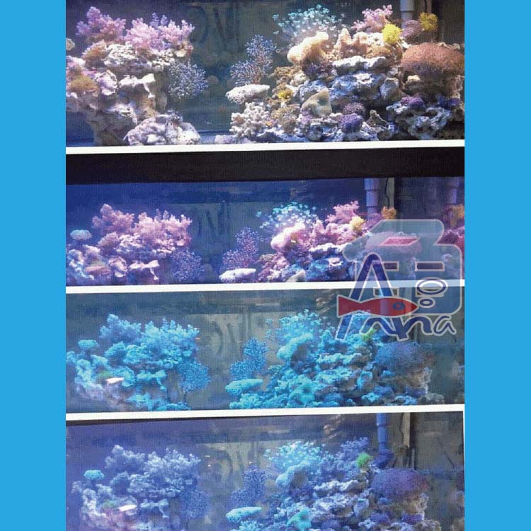 彰化水族館,魚缸設備