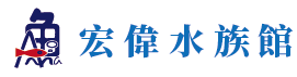 宏偉水族館-位於彰化,專業養殖淡水魚、海水魚及販售各式魚缸、過濾器 等水族設備。