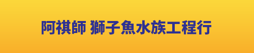 阿祺獅 獅子魚水族工程行