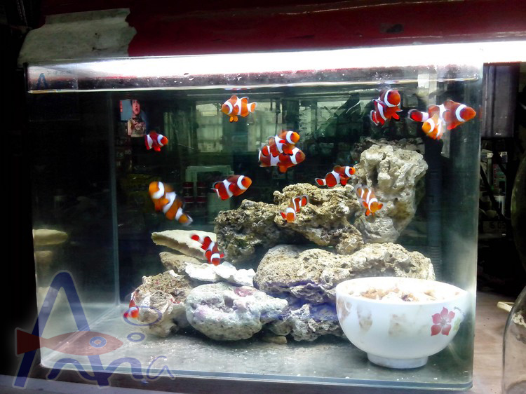 彰化水族館,魚缸設備