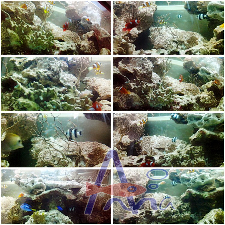 彰化水族館,魚缸設備